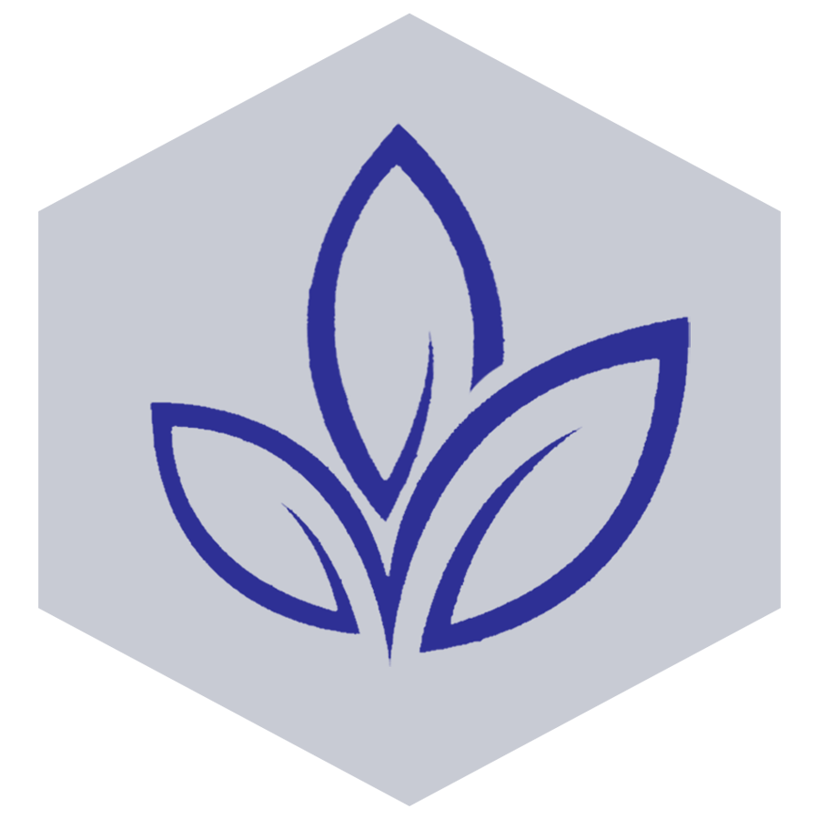 mi-theory-the-nazareth-school-of-lipa-city-inc